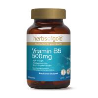 Herbs of Gold Vitamin B5 500mg 60c